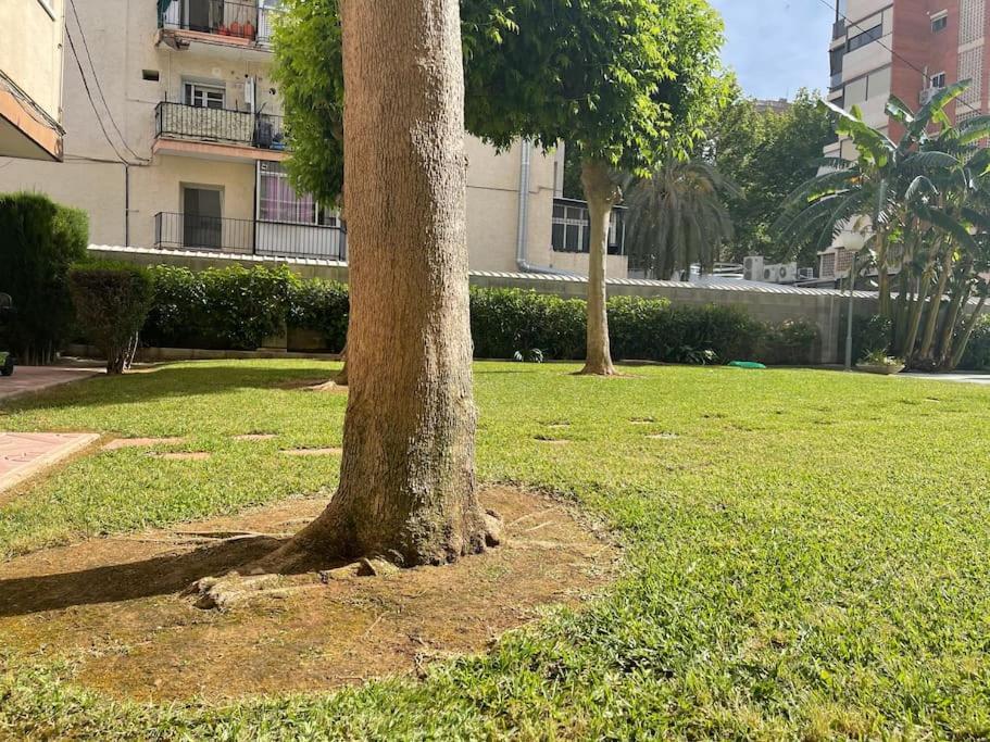 Inmejorable Ubicacion,70M Playa 70M Pueblo Διαμέρισμα Μπένιντορμ Εξωτερικό φωτογραφία